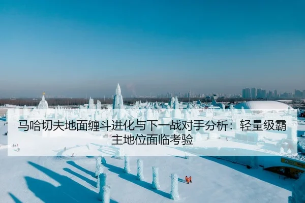 马哈切夫地面缠斗进化与下一战对手分析：轻量级霸主地位面临考验