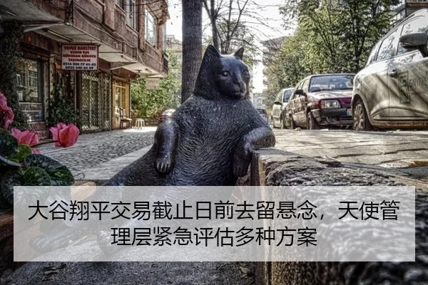 大谷翔平交易截止日前去留悬念，天使管理层紧急评估多种方案