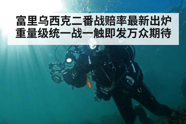 富里乌西克二番战赔率最新出炉 重量级统一战一触即发万众期待